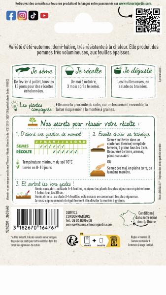 Potagères - Laitue Pommée du Bon Jardinier - MEDIA_PACKAGING_VERSO